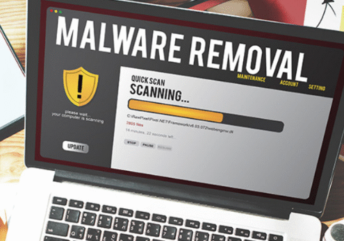 wordpress malware removal