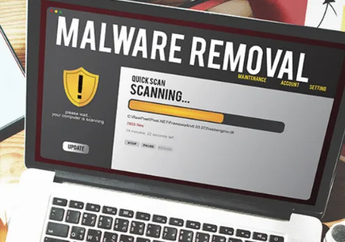 wordpress malware removal